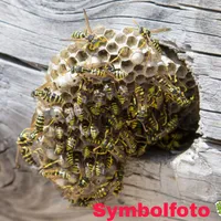 picsart_07-14-112118.jpg