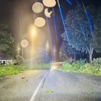 mattarelloallee.jpg