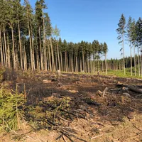 img-20180421-wa0045.jpg