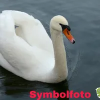 picsart_12-14-013715.jpg